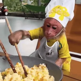 🧑‍🍳 087ad0e7 mono, cocina, chef, comida, revolver telegram sticker