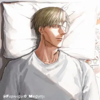 💠 b3f10981 @FusHlguro_Megumi whatsapp sticker