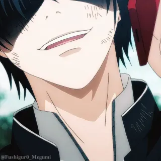 𓏲࣪𝗬𝘂𝘂𝗶𝗰𝗵𝗶●ミ @Fushigur0_Megumi telegram stickers