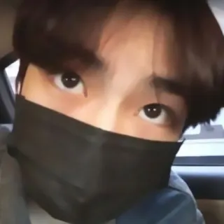 🚜 2631ae37 telegram sticker