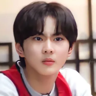 🚜 c75fcddd telegram sticker