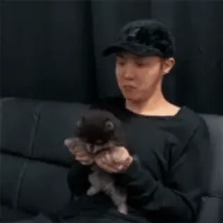 🎈 04799f89 persona, perro, mascota, interior whatsapp sticker