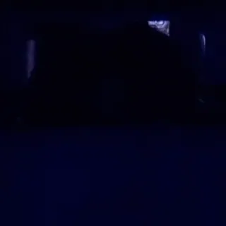 🎈 3baaac2e telegram sticker