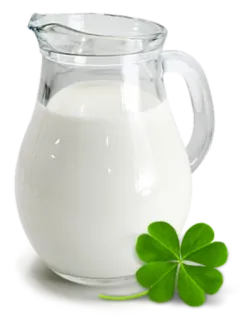 🍗 a354976b lait, trèfle, boisson, boisson, verre, pichet telegram sticker