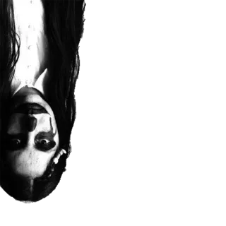 😀 2362b335 telegram sticker