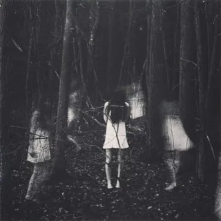 😀 acba017b floresta, crianças, assustador, escuro, sobrenatural telegram sticker