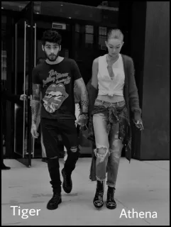 🔚 6a9fc0d8 Tiger Athena whatsapp sticker