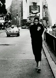 🕷 95c86592 telegram sticker