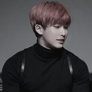 🌒 3b9c665f Wonho kpop, musica, cantante, ritratto, persona telegram sticker