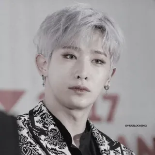 🌒 9855e66b EVERBLOOMING persona, uomo, maschio, ritratto, faccia, monocromatico telegram sticker