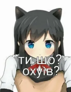 😠 0ab4c974 ТИ ШО? ОХУЇВ? Ragazza anime, Orecchie da gatto, Offensivo, Ucraino, Parolaccia telegram sticker