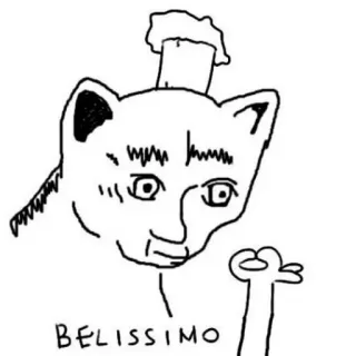 👍 17471908 BELISSIMO gatto, animale, disegno, belissimo, italiano telegram sticker