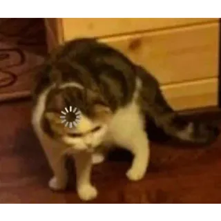 🤔 19180d10 gatto, animale, animale domestico, divertente, meme, caricamento, internet telegram sticker