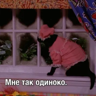 😫 9ac06ee9 Мне так одиноко. gatto, triste, finestra, solo, vestito, russo, malinconia telegram sticker