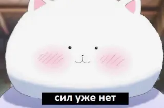 😱 9d2f12d5 сил уже нет gatto, carino, divertente, meme, animale, esausto, stanco telegram sticker