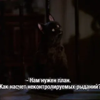 😭 e5f4e25e Нам нужен план.
Как насчет неконтролируемых рыданий? gatto, piano, piangere, russo, gatto nero telegram sticker