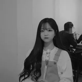 🐚 385519ca telegram sticker