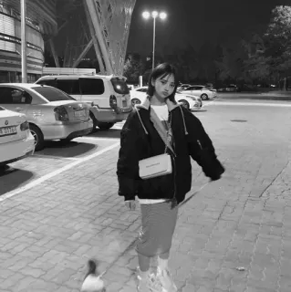 🐚 7473bfd1 telegram sticker