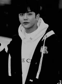 📎 43172330 telegram sticker