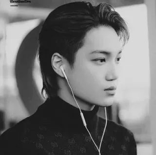 🕯 8e42d309 ภาพเหมือน, หูฟัง, คน, เคป๊อป, นักร้อง, คนดัง, ขาวดำ telegram sticker