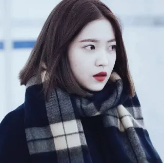 🍸 aca27939 ผู้หญิง, ผ้าพันคอ, ภาพเหมือน, ฤดูหนาว, แฟชั่น, เกาหลี telegram sticker