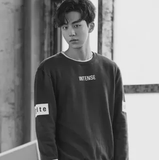 ✖️ 0741ac75 INTENSE Mann, Pullover, intensiv, Mode, Porträt telegram sticker