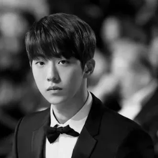 ➖ 218669ae Mann, Porträt, Festliche Kleidung, Anzug, Krawatte, Fliege, Schwarzweiß telegram sticker