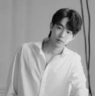 ➖ 503e11c4 telegram sticker