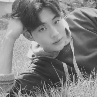 🇦🇱 7ca677a1 telegram sticker