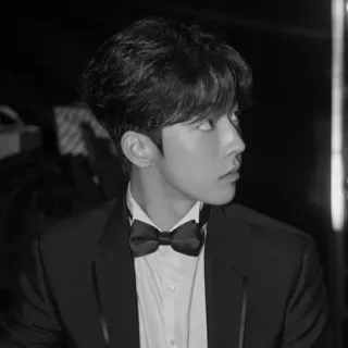 ➖ 8230c884 Mann, Porträt, Anzug, Smoking, Schwarzweiß telegram sticker