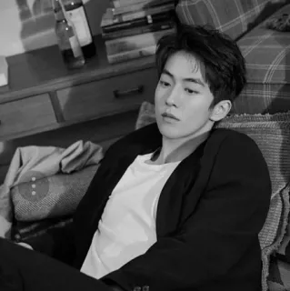 🇦🇱 8591bae5 telegram sticker