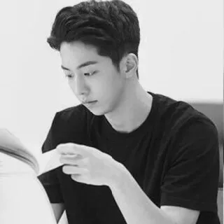 🇦🇱 8998c1ed mann, lesen, buch, porträt, schwarzweiss telegram sticker