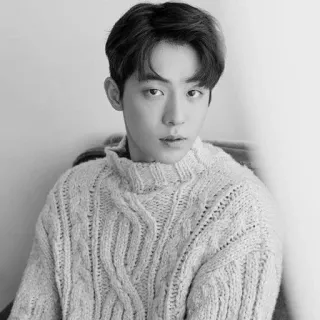 🔖 8adebb3c Mann, Porträt, Pullover, Koreanisch, Schauspieler, Schwarzweiß telegram sticker