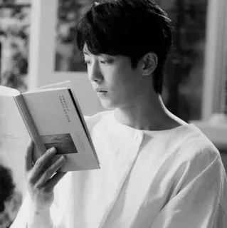 ➖ a4c33290 telegram sticker