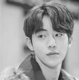 ➖ c7730913 telegram sticker