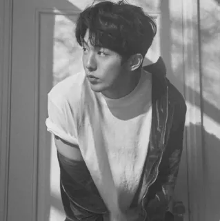 ➖ cfd63c4d telegram sticker