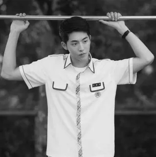 💮 e31e223e Schuluniform, Porträt, Graustufen, Asiatisch, Männlich, Schüler telegram sticker