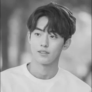 🇦🇱 fb669bb2 Mann, Porträt, Schwarzweiß, Schauspieler, Koreanisch, Asiatisch telegram sticker