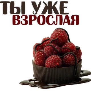😍 58234f43 ТЫ УЖЕ ВЗРОСЛАЯ raspberry, cake, dessert, chocolate, sweet, text, russian whatsapp sticker