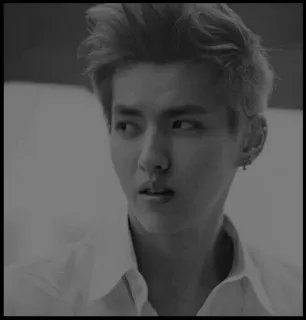 ✨ 408a8e12 telegram sticker