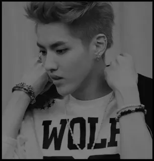 ✨ 92d7e664 WOLF telegram sticker