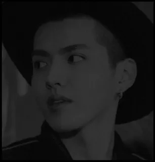 ✨ 95549df1 Kris Wu 케이팝, 가수, 배우, 연예인, 아이돌 telegram sticker