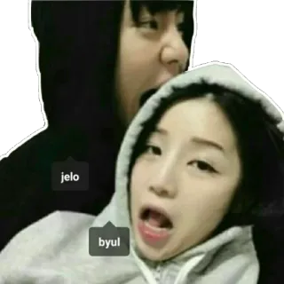 ❤ 36d2f5c4 jelo
byul drôle, gens, sweat à capuche, visages telegram sticker