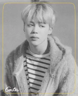 ◾️ 53322dd5 Carter person, portrait, man, black and white, outerwear whatsapp sticker