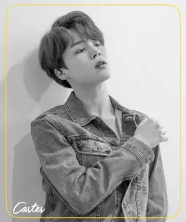 ◾️ 67ff2c46 Carter portrait, man, denim jacket, black and white, model whatsapp sticker