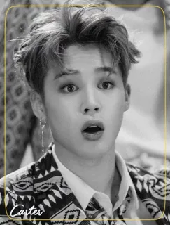 ◾️ 89035c16 Carter man, person, portrait, black and white, face, boy whatsapp sticker