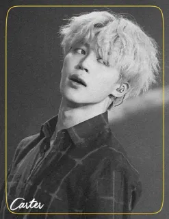 ◾️ c5cba1fd Carter person, portrait, male, blond hair, earrings, monochrome, name tag whatsapp sticker