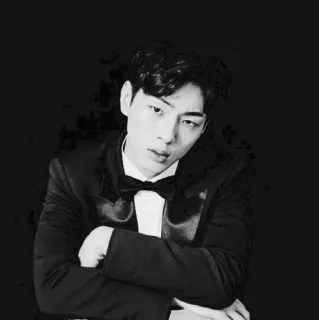 🎻 4749cbfe мужчина, портрет, смокинг, черно-белое, официальная одежда, галстук-бабочка telegram sticker