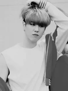 ▪️ 4809278e telegram sticker