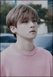 🕯 991086dc whatsapp sticker